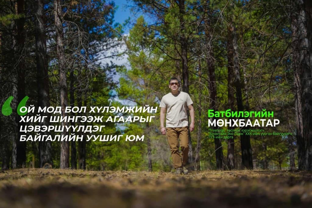 Treelings — ой мод, байгаль орчин
