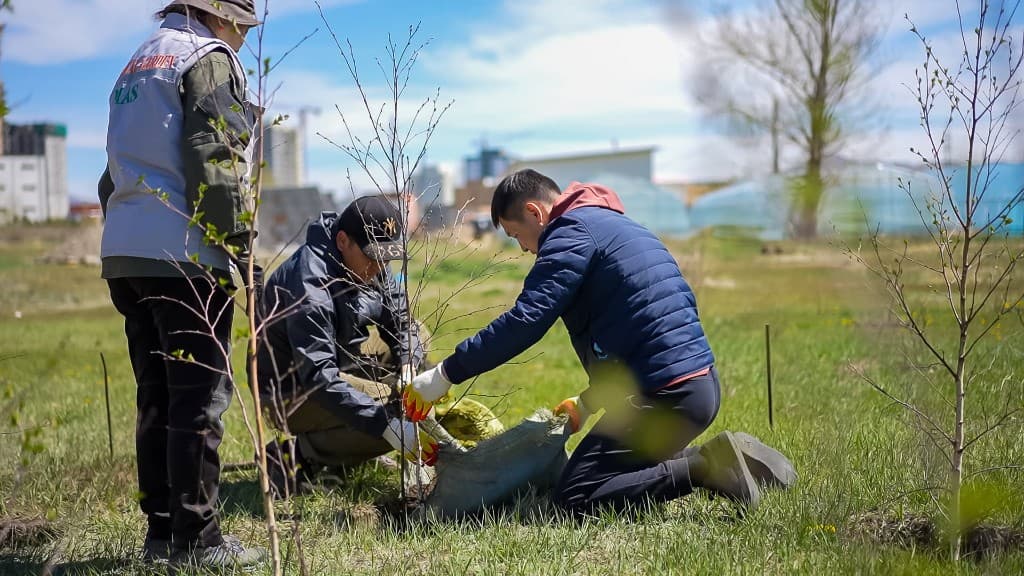 Treelings — be treed